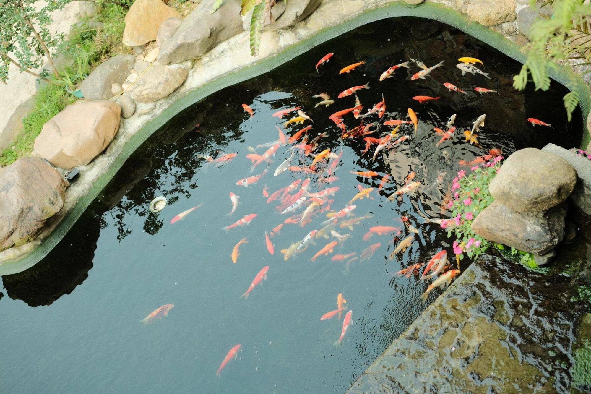 Không gian văn hóa trà Suối Giàng Nghia Lo Esterno foto